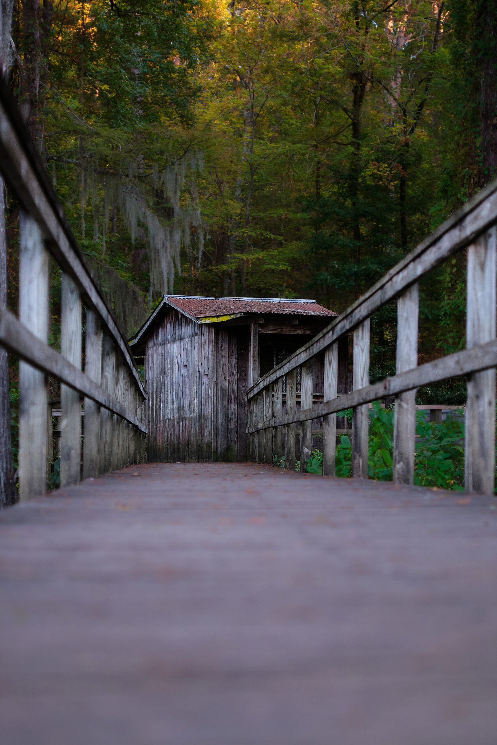 caddo lake boat shed